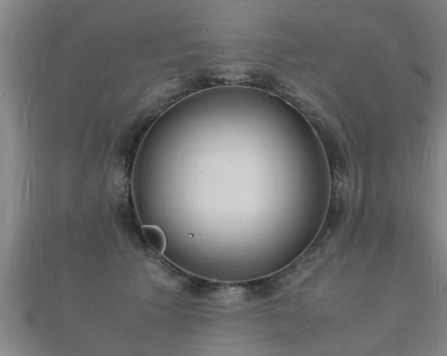 X0000112050609200908111352