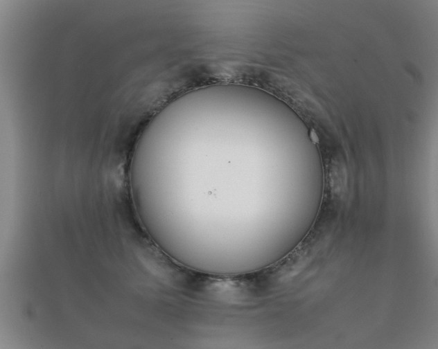 X0000112050611200908111352