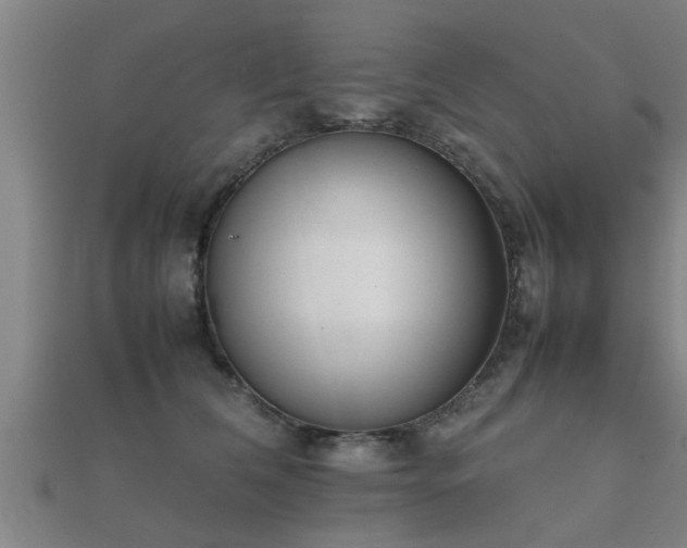 X0000112050612200908111352