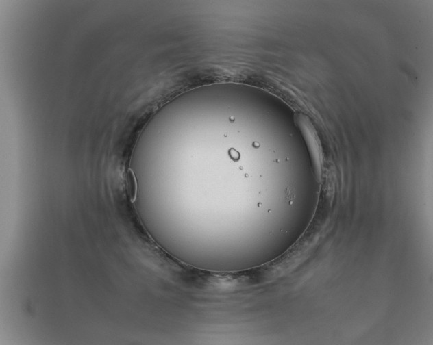 X0000112050613200908111352