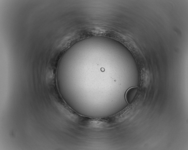 X0000112050614200908111351