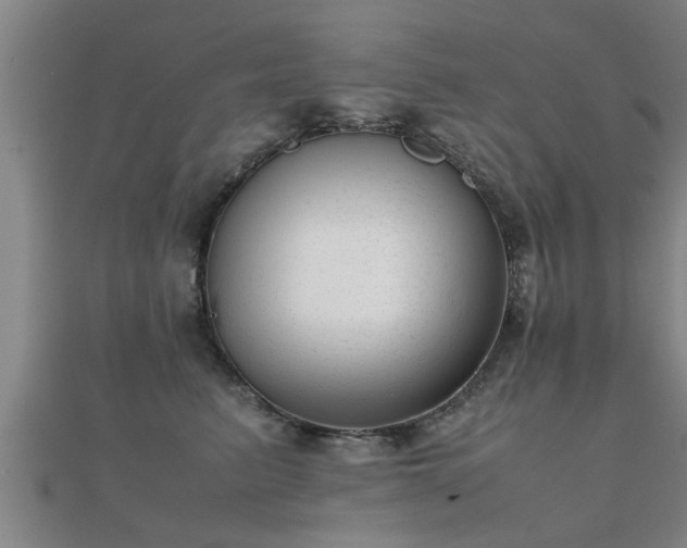 X0000112050615200908111351