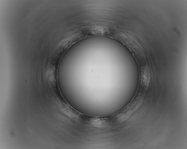 X0000112050616200908111351