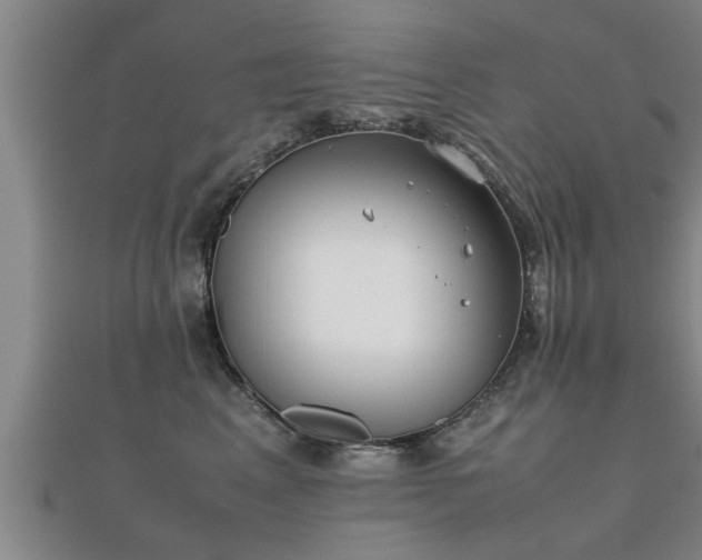 X0000112050617200908111351