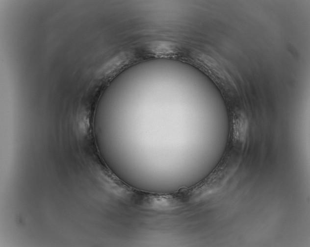 X0000112050618200908111351