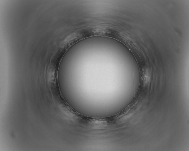 X0000112050619200908111351