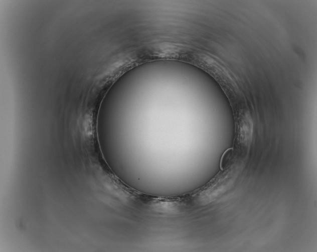 X0000112050620200908111351