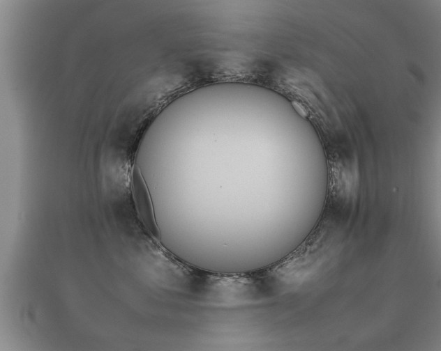 X0000112050621200908111351