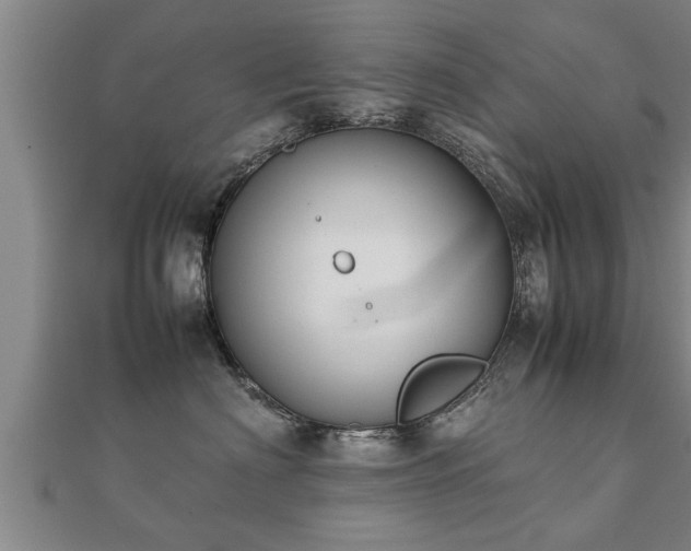 X0000112050622200908111351