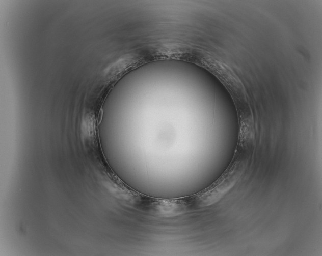 X0000112050623200908111351