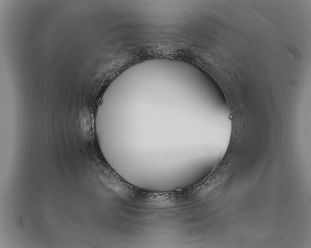 X0000112050624200908111351