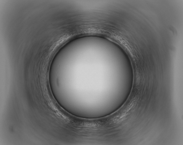 X0000112050625200908111351