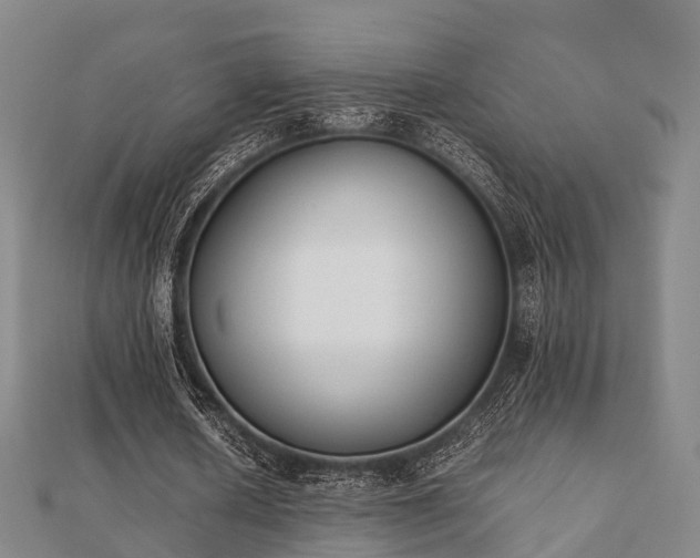 X0000112050626200908111351