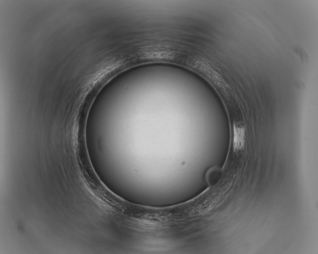 X0000112050627200908111351