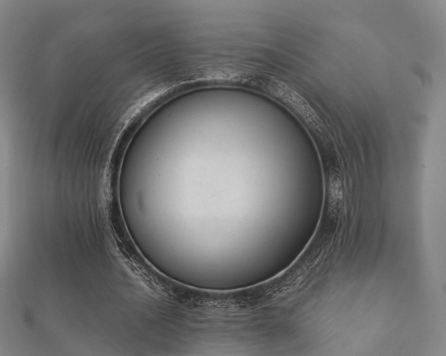 X0000112050628200908111351