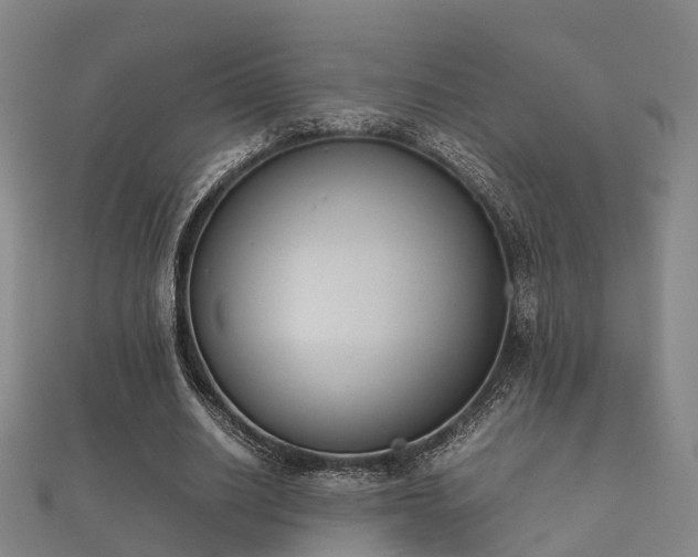 X0000112050630200908111351