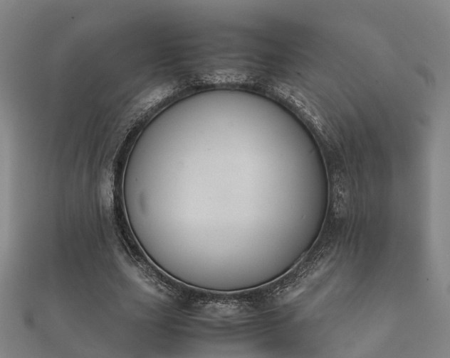 X0000112050631200908111351