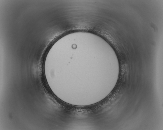 X0000112050632200908111351