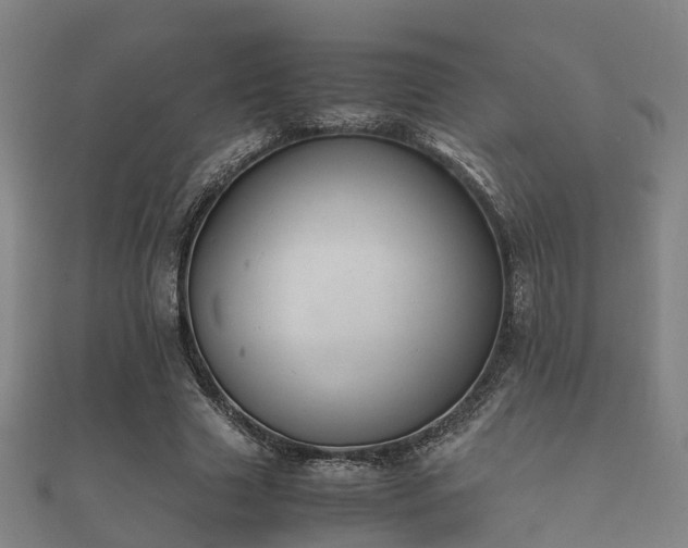 X0000112050633200908111351