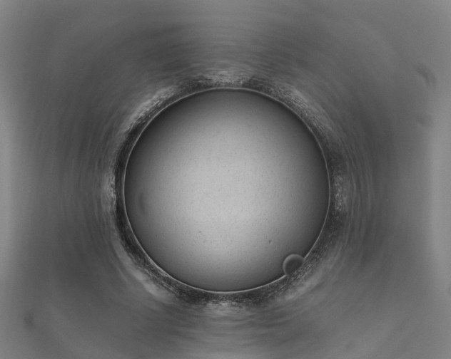 X0000112050634200908111351