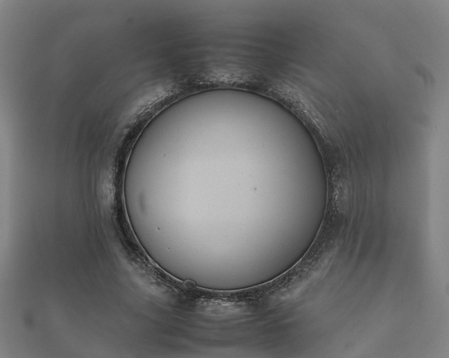 X0000112050635200908111351