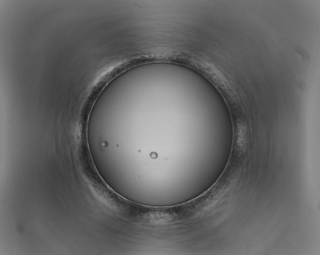 X0000112050636200908111351