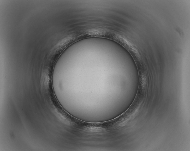 X0000112050637200908111351