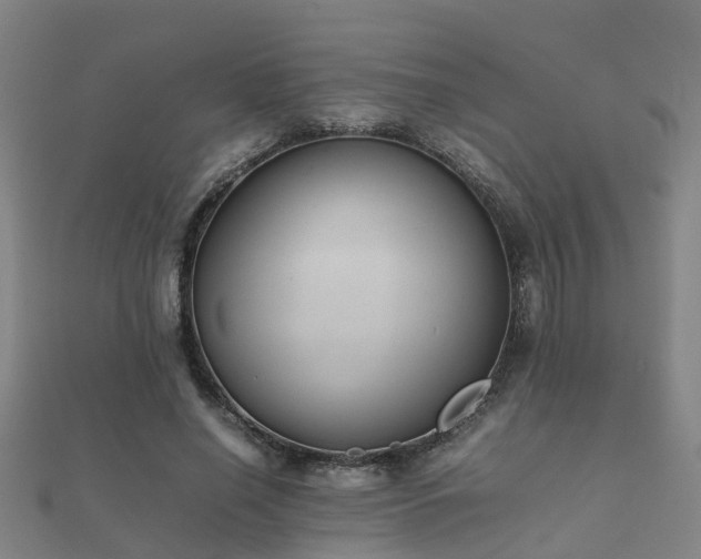 X0000112050638200908111351