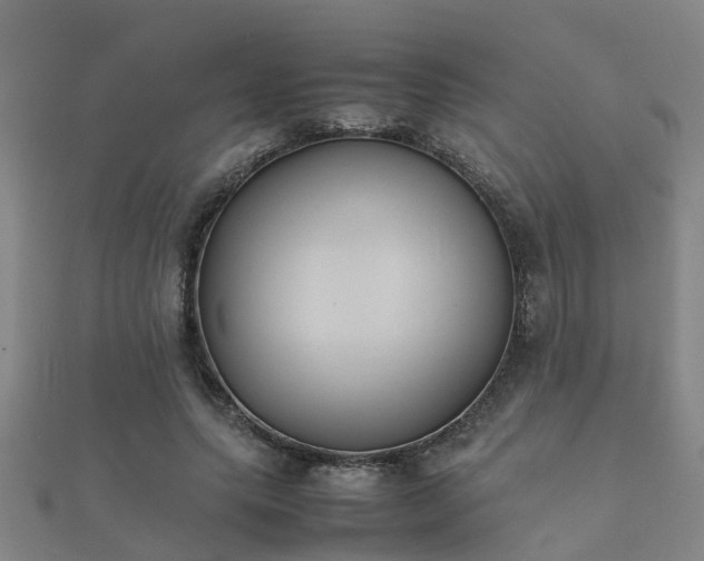 X0000112050639200908111351