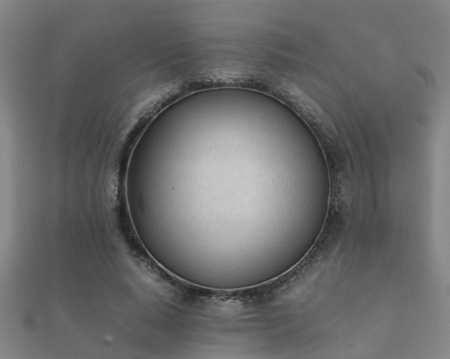 X0000112050640200908111351