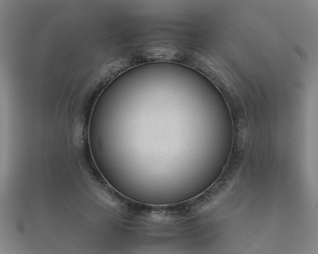 X0000112050641200908111351