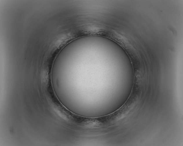 X0000112050642200908111351