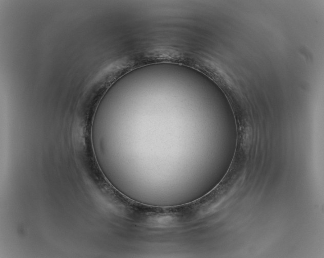 X0000112050643200908111351