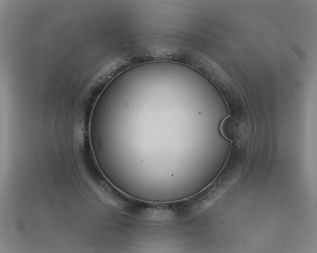 X0000112050644200908111351