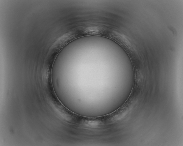 X0000112050645200908111351