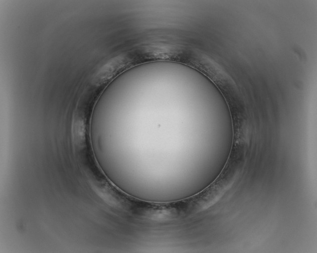 X0000112050646200908111351