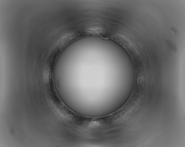 X0000112050647200908111351