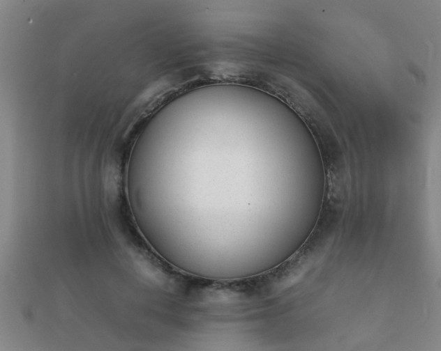 X0000112050648200908111351