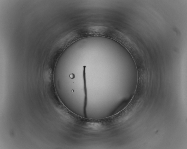 X0000112050649200908111351