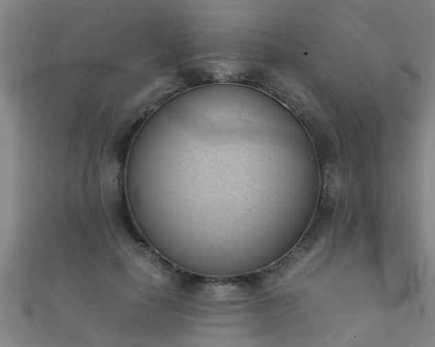 X0000112050650200908111351