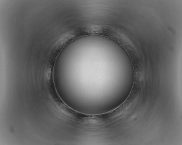 X0000112050652200908111351