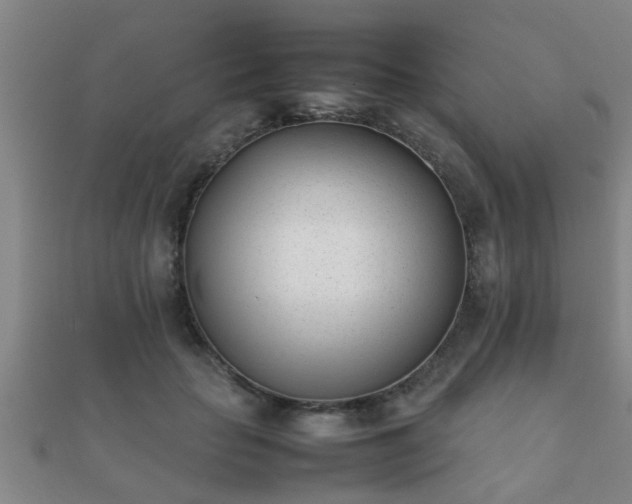 X0000112050653200908111351