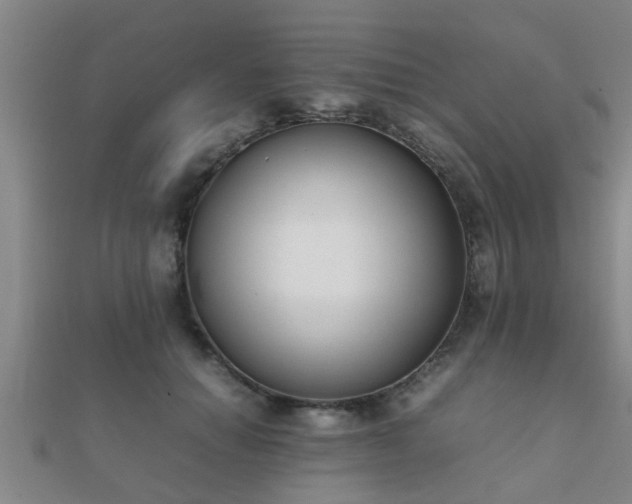 X0000112050654200908111351