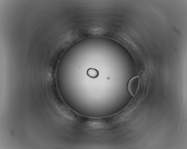 X0000112050655200908111351