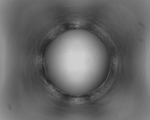 X0000112050657200908111351