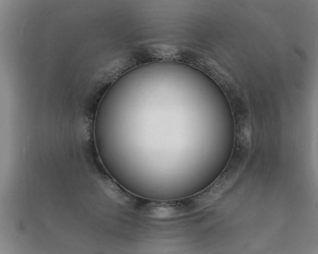 X0000112050658200908111351