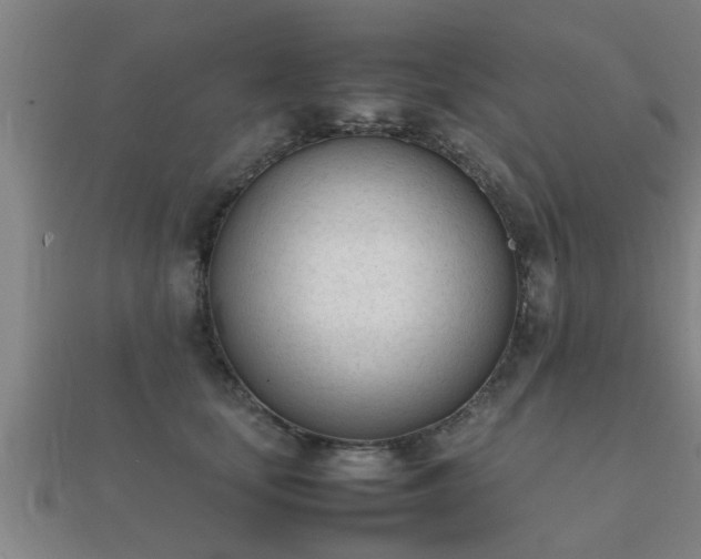 X0000112050659200908111351