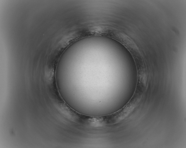 X0000112050660200908111351