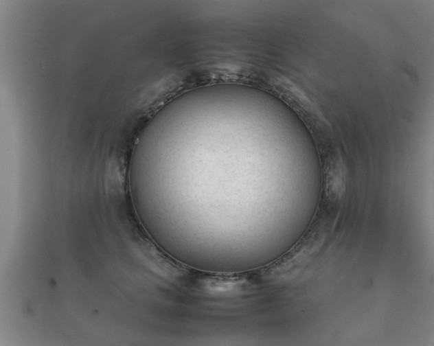 X0000112050661200908111351