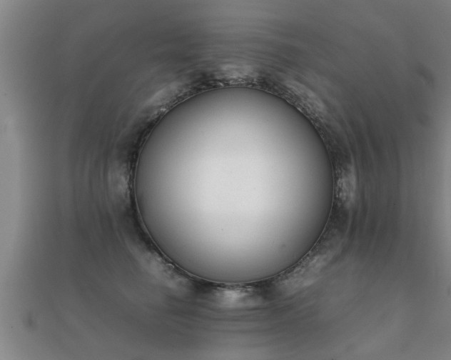 X0000112050662200908111351